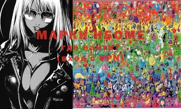 дмт Новозыбков