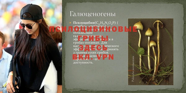 герыч Новодвинск