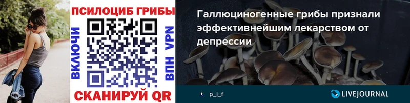 Купить где  Яблоновский  Галлюциногенные грибы прущие грибы 